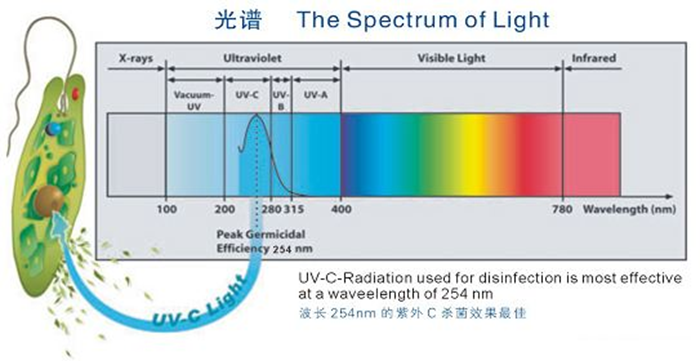 科普！紫外線殺菌燈對人體影響及正確使用方法